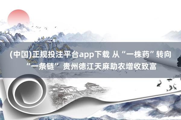 (中国)正规投注平台app下载 从“一株药”转向“一条链” 贵州德江天麻助农增收致富