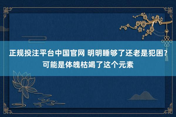 正规投注平台中国官网 明明睡够了还老是犯困?可能是体魄枯竭了这个元素