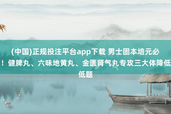 (中国)正规投注平台app下载 男士固本培元必看!健脾丸、六味地黄丸、金匮肾气丸专攻三大体降低题