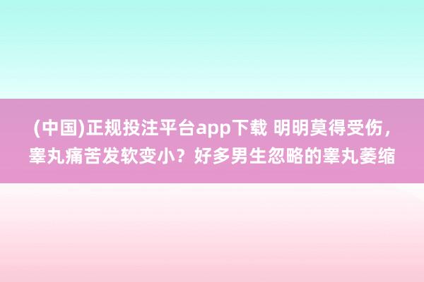 (中国)正规投注平台app下载 明明莫得受伤,睾丸痛苦发软变小?好多男生忽略的睾丸萎缩