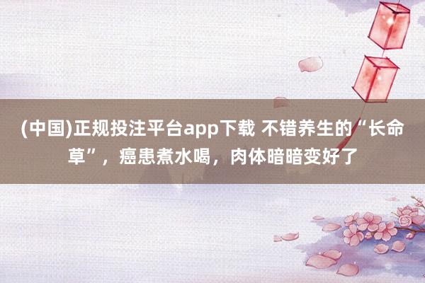 (中国)正规投注平台app下载 不错养生的“长命草”,癌患煮水喝,肉体暗暗变好了