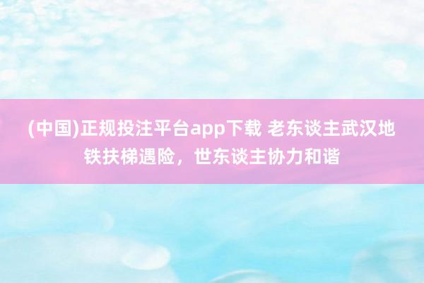 (中国)正规投注平台app下载 老东谈主武汉地铁扶梯遇险,世东谈主协力和谐