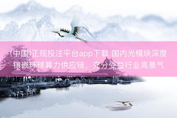 (中国)正规投注平台app下载 国内光模块深度镶嵌环球算力供应链,充分受益行业高景气