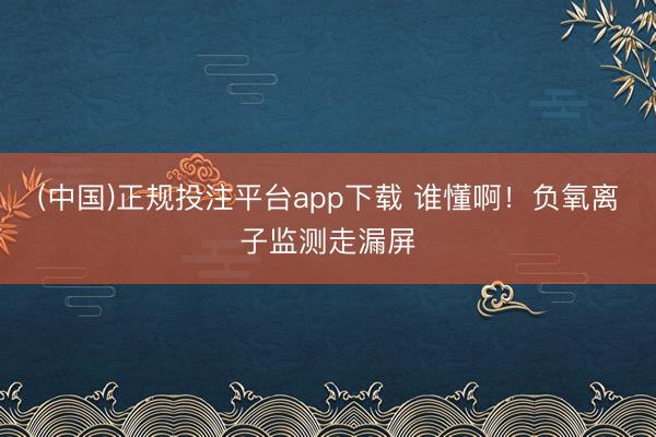 (中国)正规投注平台app下载 谁懂啊!负氧离子监测走漏屏