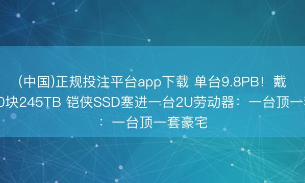(中国)正规投注平台app下载 单台9.8PB!戴尔将40块245TB 铠侠SSD塞进一台2U劳动器:一台顶一套豪宅