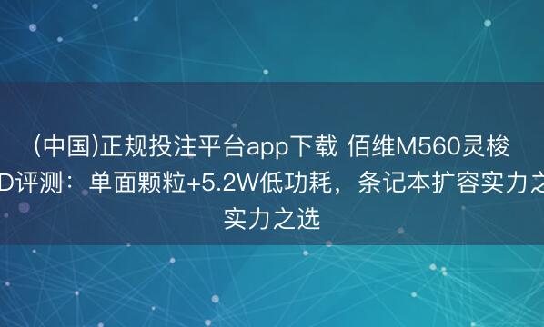 (中国)正规投注平台app下载 佰维M560灵梭SSD评测:单面颗粒+5.2W低功耗,条记本扩容实力之选