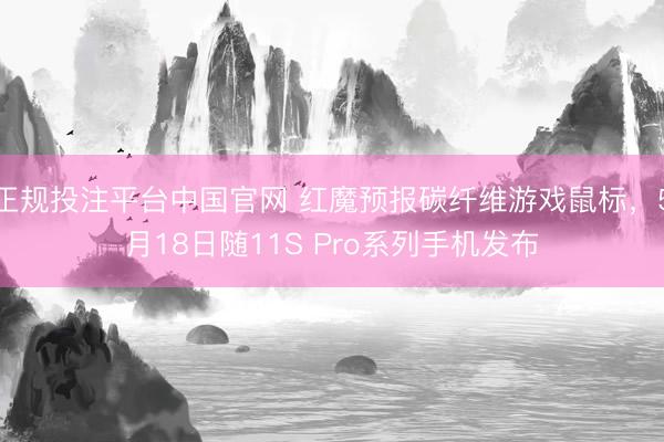 正规投注平台中国官网 红魔预报碳纤维游戏鼠标,5月18日随11S Pro系列手机发布