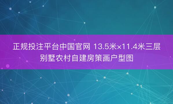 正规投注平台中国官网 13.5米×11.4米三层别墅农村自建房策画户型图
