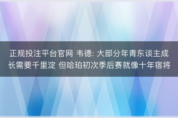 正规投注平台官网 韦德: 大部分年青东谈主成长需要千里淀 但哈珀初次季后赛就像十年宿将
