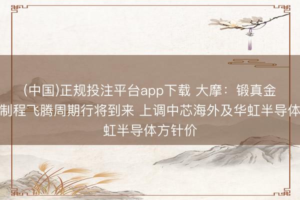 (中国)正规投注平台app下载 大摩:锻真金不怕火制程飞腾周期行将到来 上调中芯海外及华虹半导体方针价