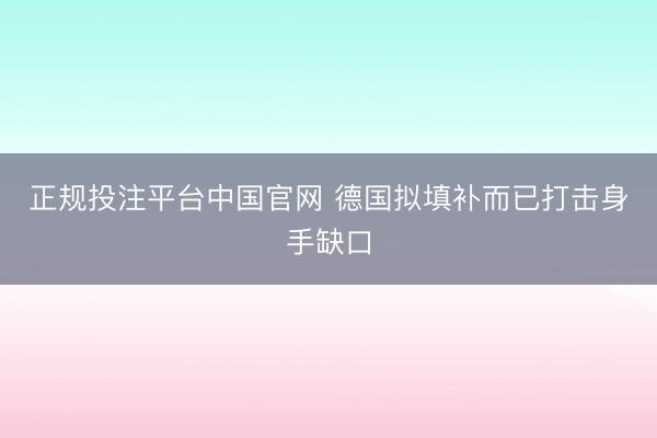 正规投注平台中国官网 德国拟填补而已打击身手缺口