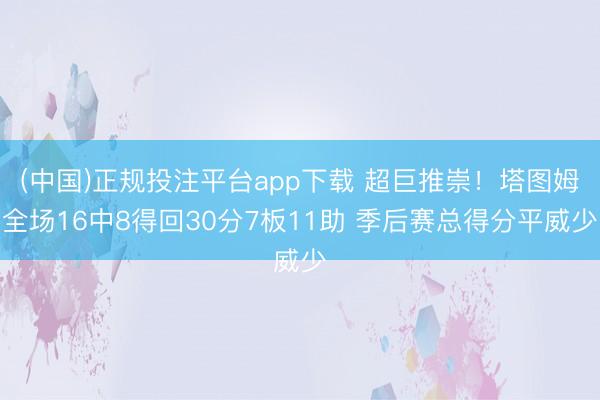 (中国)正规投注平台app下载 超巨推崇！塔图姆全场16中8得回30分7板11助 季后赛总得分平威少