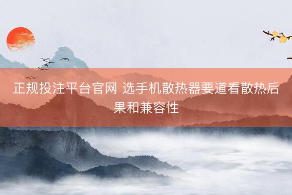 正规投注平台官网 选手机散热器要道看散热后果和兼容性