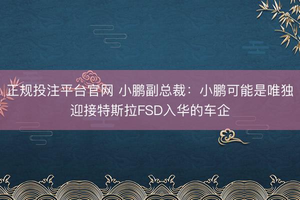 正规投注平台官网 小鹏副总裁:小鹏可能是唯独迎接特斯拉FSD入华的车企