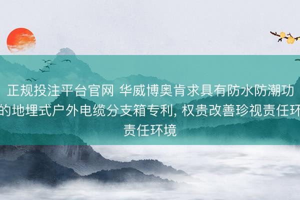正规投注平台官网 华威博奥肯求具有防水防潮功能的地埋式户外电缆分支箱专利， 权贵改善珍视责任环境