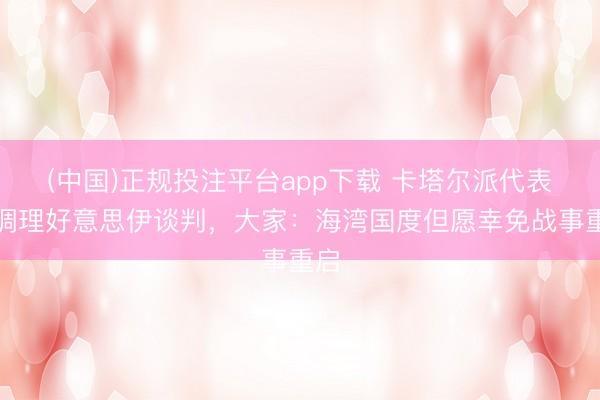 (中国)正规投注平台app下载 卡塔尔派代表团调理好意思伊谈判,大家:海湾国度但愿幸免战事重启