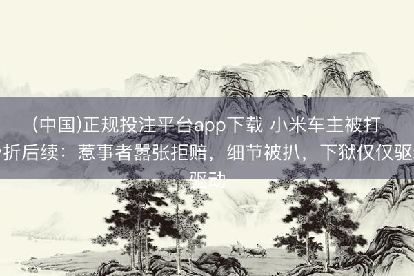 (中国)正规投注平台app下载 小米车主被打骨折后续:惹事者嚣张拒赔,细节被扒,下狱仅仅驱动