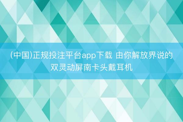(中国)正规投注平台app下载 由你解放界说的双灵动屏南卡头戴耳机