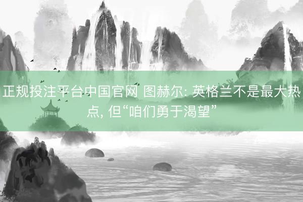 正规投注平台中国官网 图赫尔: 英格兰不是最大热点, 但“咱们勇于渴望”
