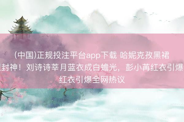 (中国)正规投注平台app下载 哈妮克孜黑裙异地造型封神!刘诗诗莘月蓝衣成白蟾光,彭小苒红衣引爆全网热议