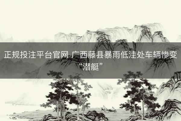 正规投注平台官网 广西藤县暴雨低洼处车辆惨变“潜艇”