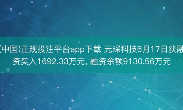 (中国)正规投注平台app下载 元琛科技6月17日获融资买入1692.33万元, 融资余额9130.56万元