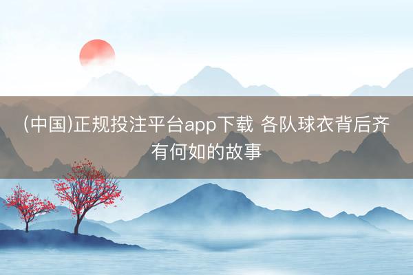 (中国)正规投注平台app下载 各队球衣背后齐有何如的故事